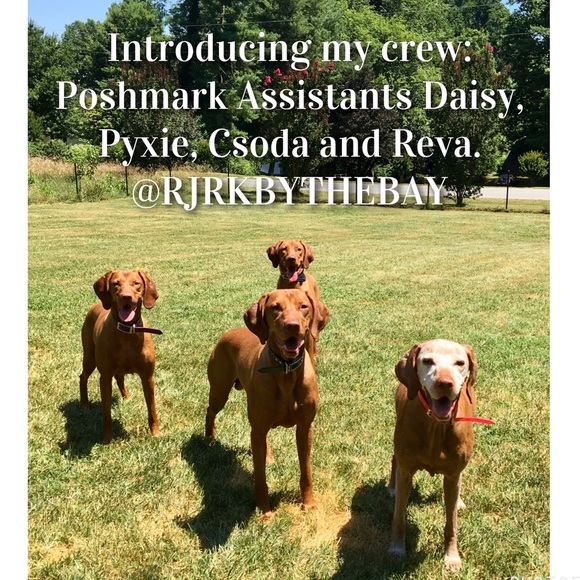 Posh-Mentor - Free advice! - Picture 2 of 4